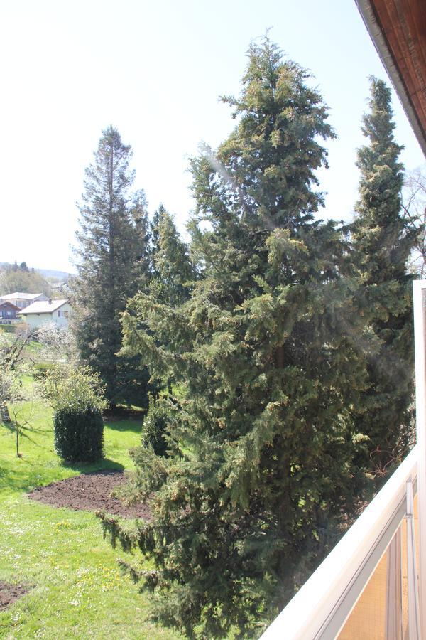 Hotel Restaurant Le Panorama Neuvecelle Zewnętrze zdjęcie